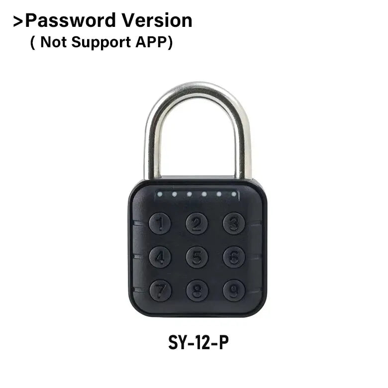 - Electronic Fingerprint Padlock