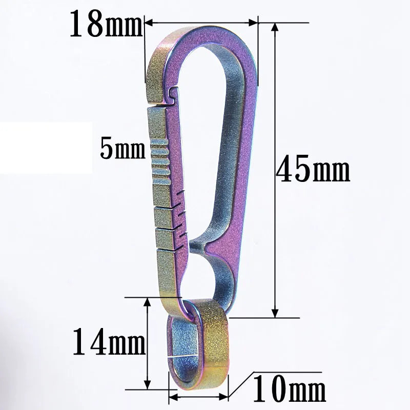 -RainbowCarabin