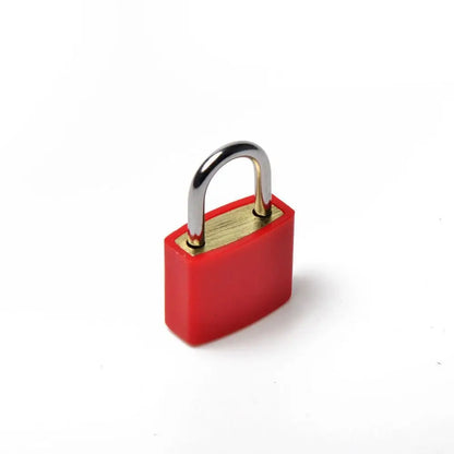-Small Coloured Padlock 23mm