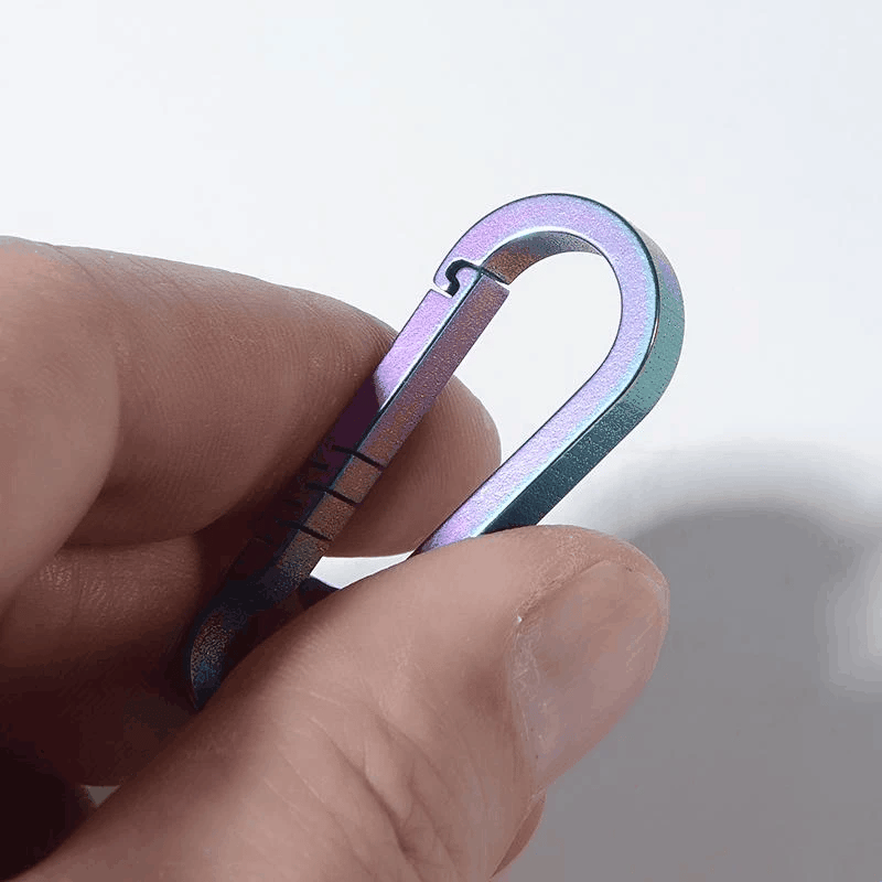 -RainbowCarabin